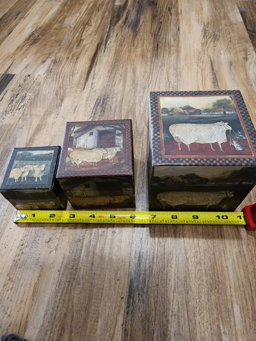 Primitive Sheep Box Set - Picture 5 of 6